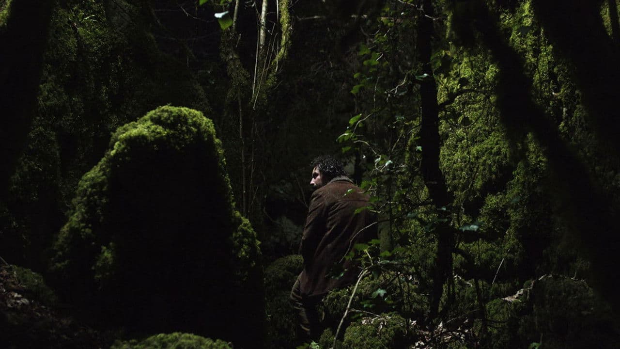 Backdrop – Longa Noite