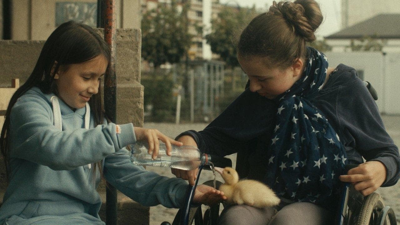 Backdrop – Zugvögel - Wenn Freundschaft Flügel verleiht
