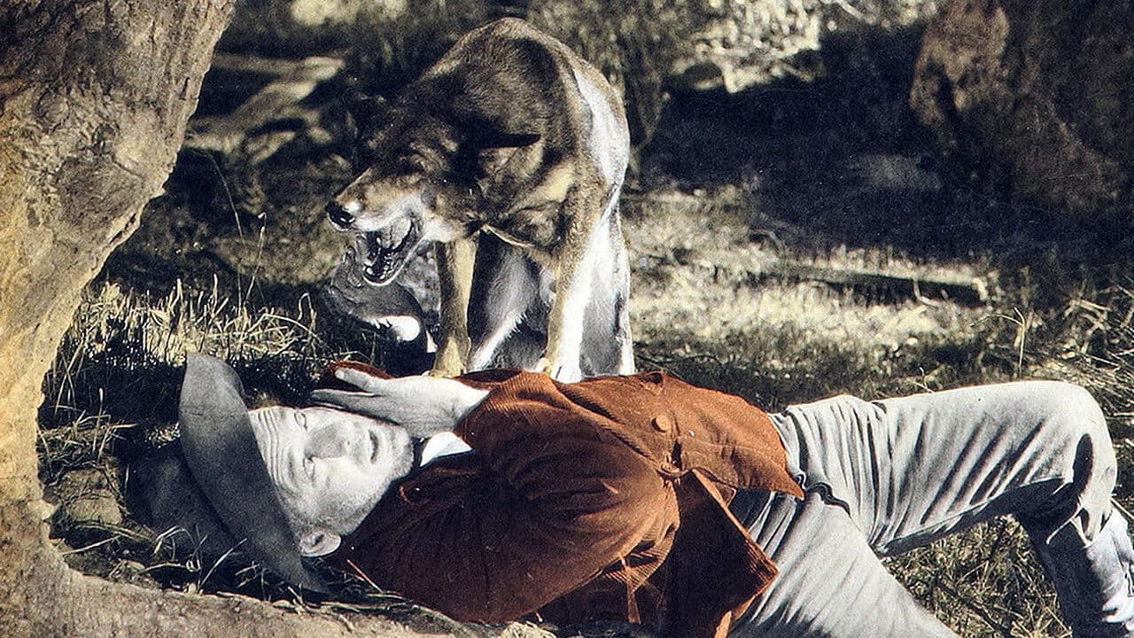 Backdrop – Hills of Kentucky