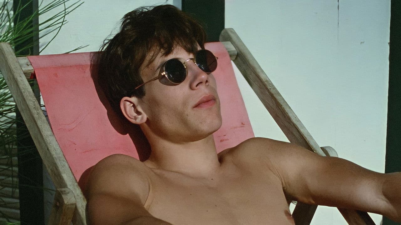 Backdrop – Ein Sommerkleid