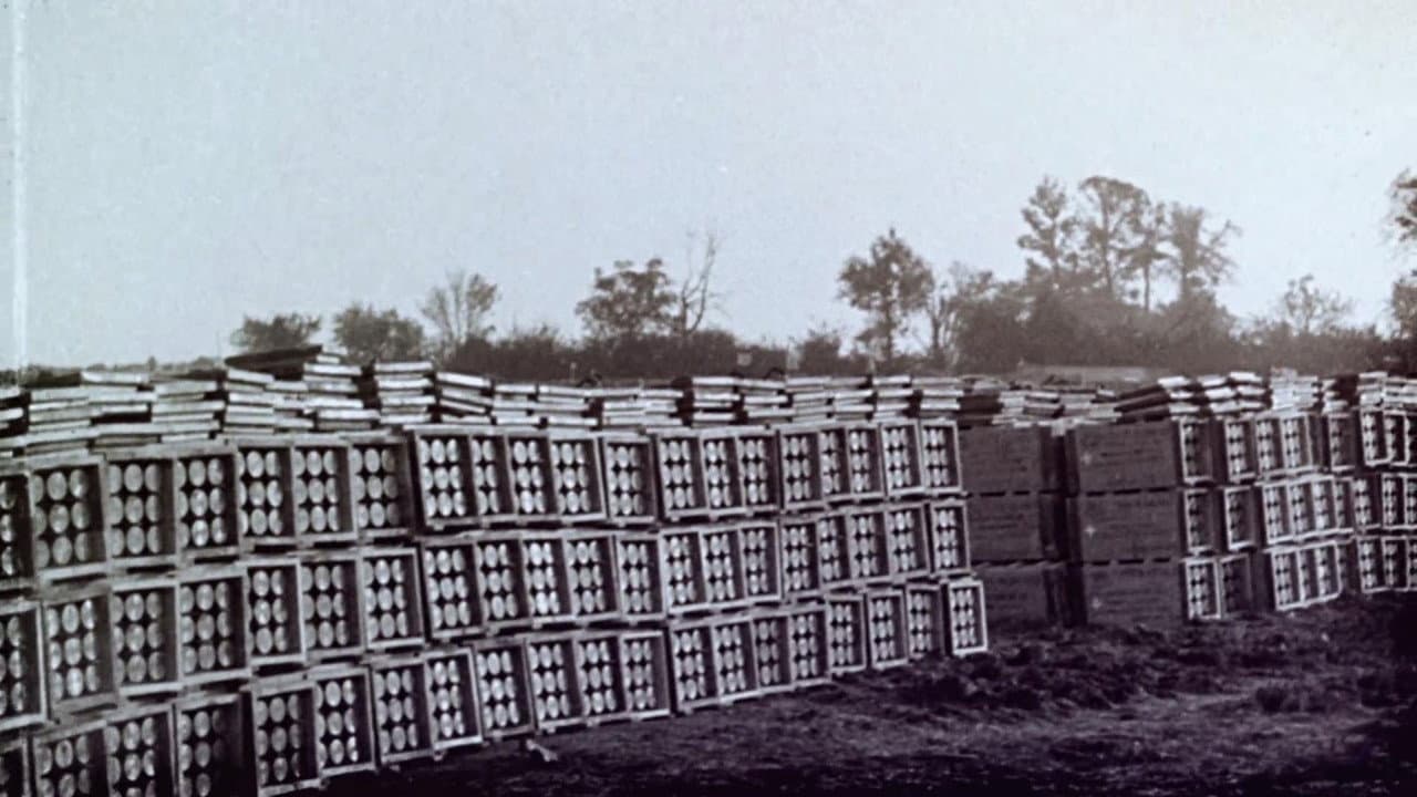 Backdrop – WWI: Hidden Traces