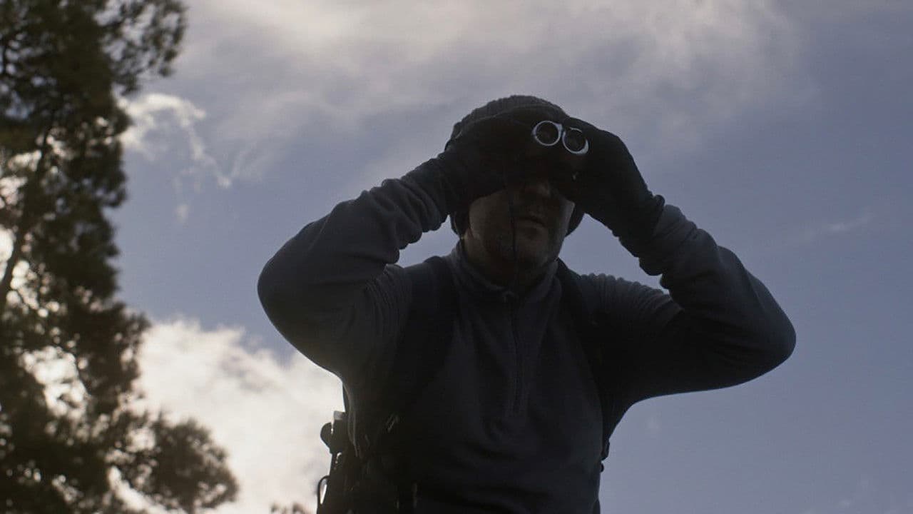 Backdrop – Meteoro