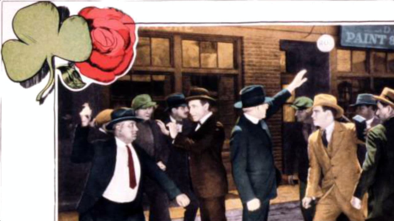 Backdrop – The Shamrock and the Rose