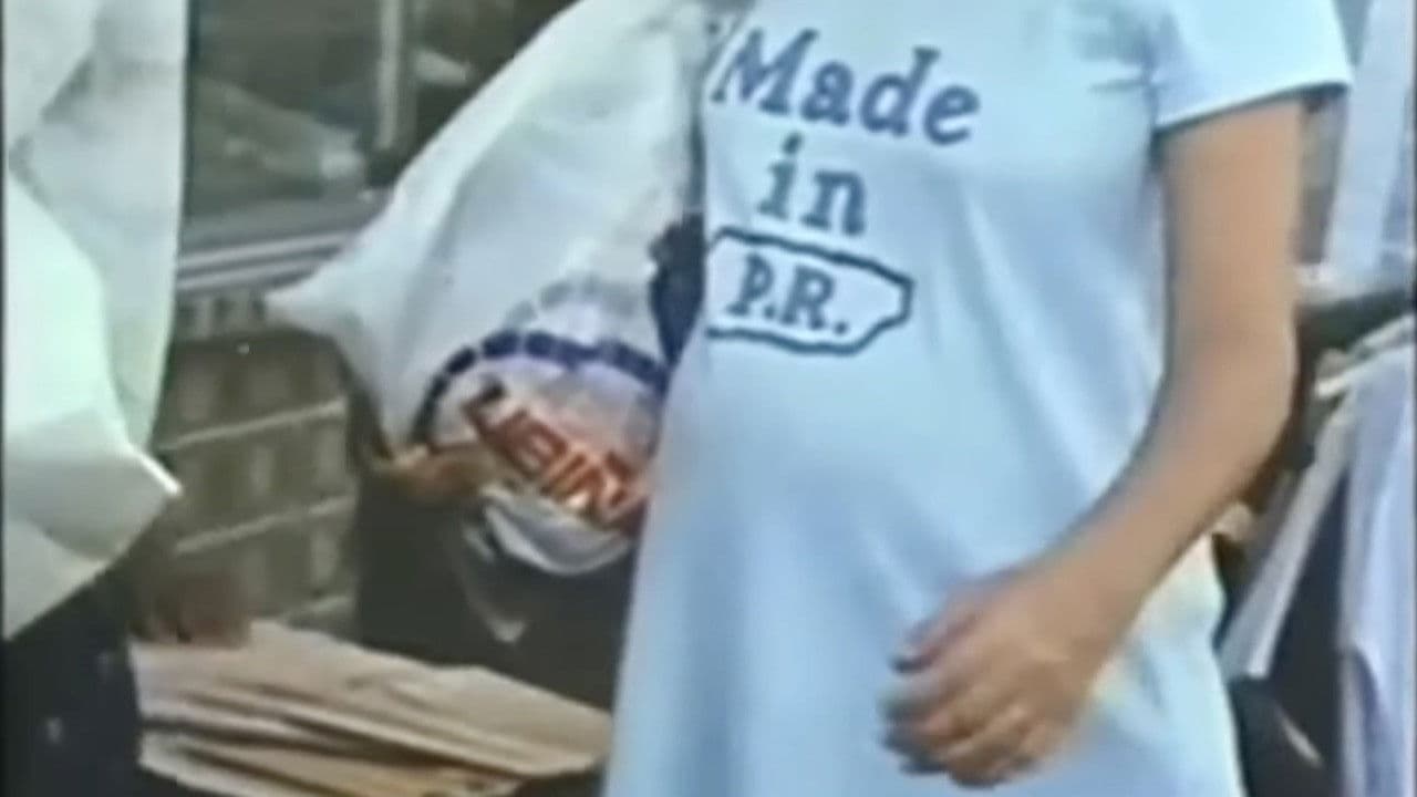 Backdrop – La operación