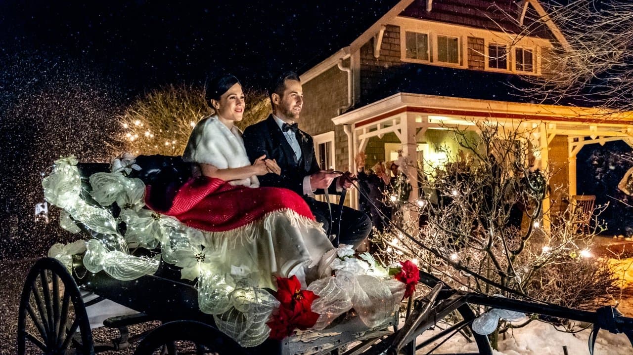 Backdrop – Marrying Father Christmas