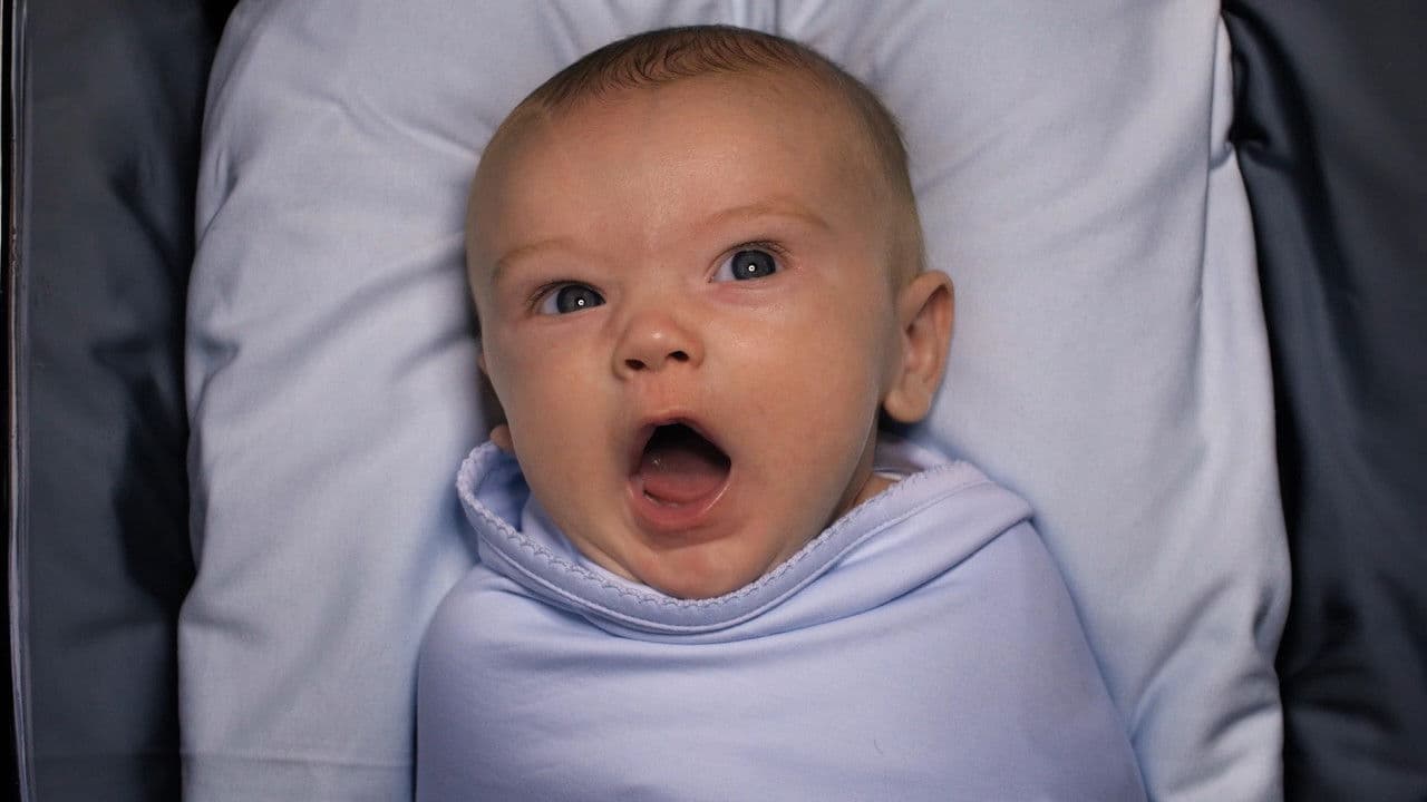 Backdrop – American Circumcision