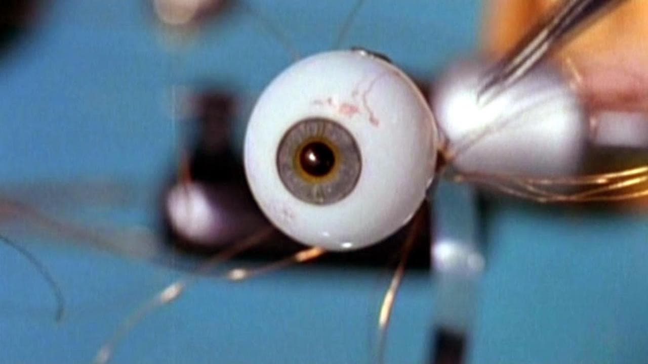 Backdrop – Das verräterische Auge