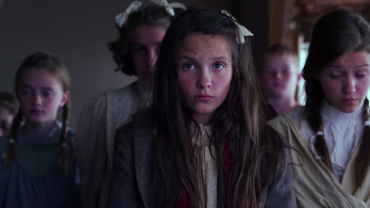 Backdrop – Orangen zu Weihnachten