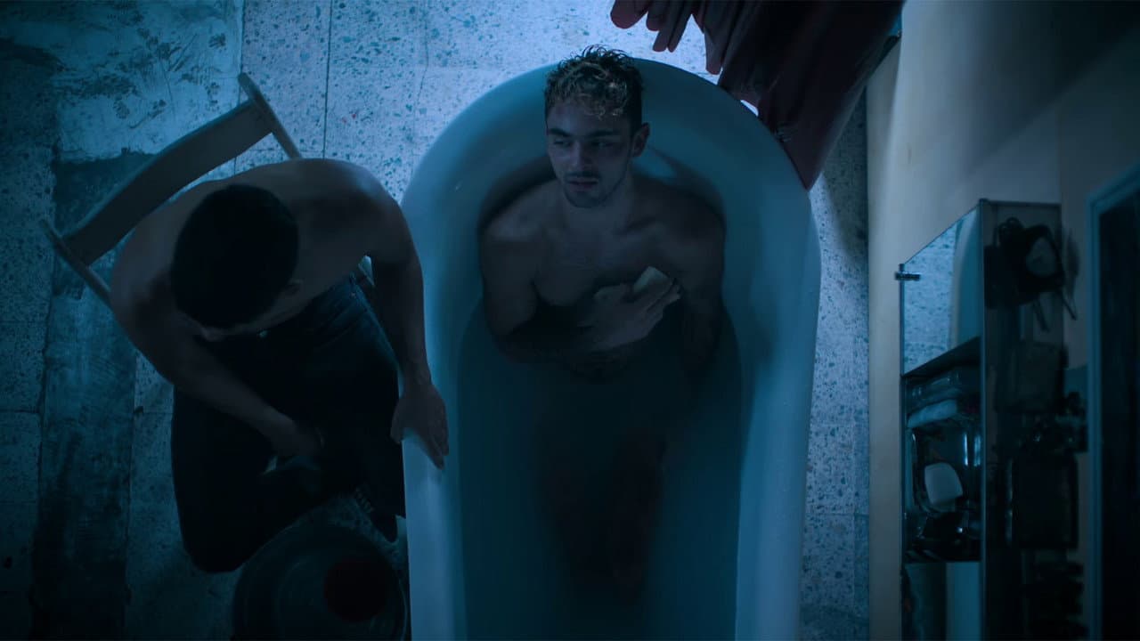 Backdrop – Cobalto