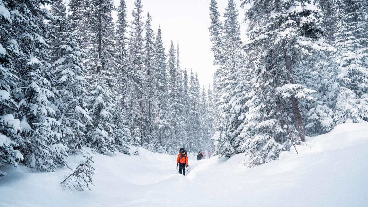 Backdrop – Uapishka