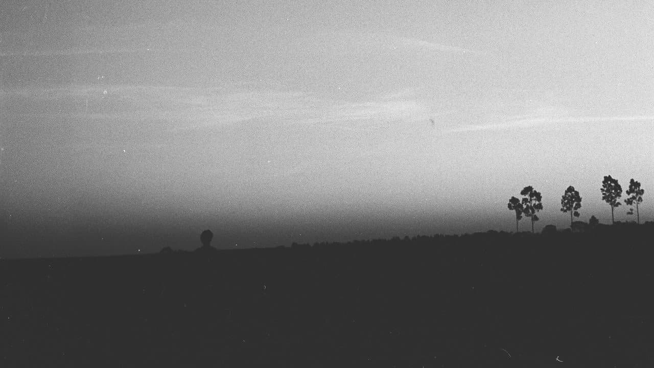 Backdrop – O Ciclope