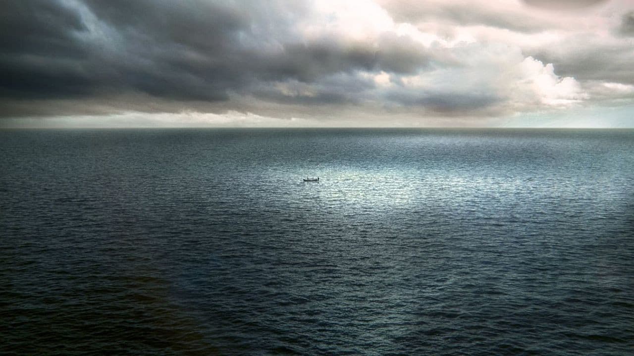 Backdrop – Instinct