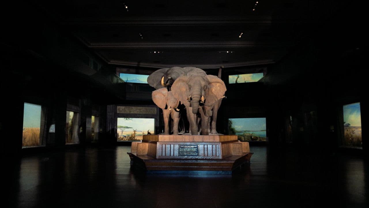 Backdrop – Curiosity and Control