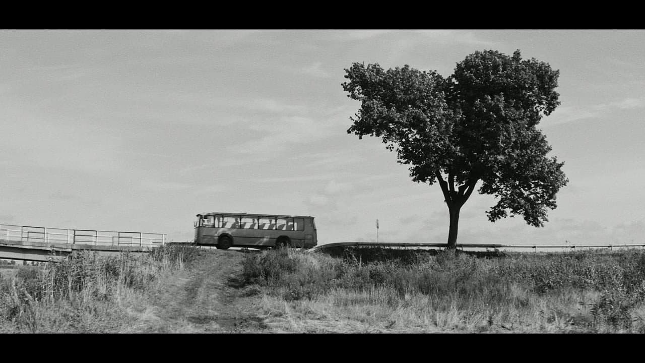 Backdrop – Przystanek