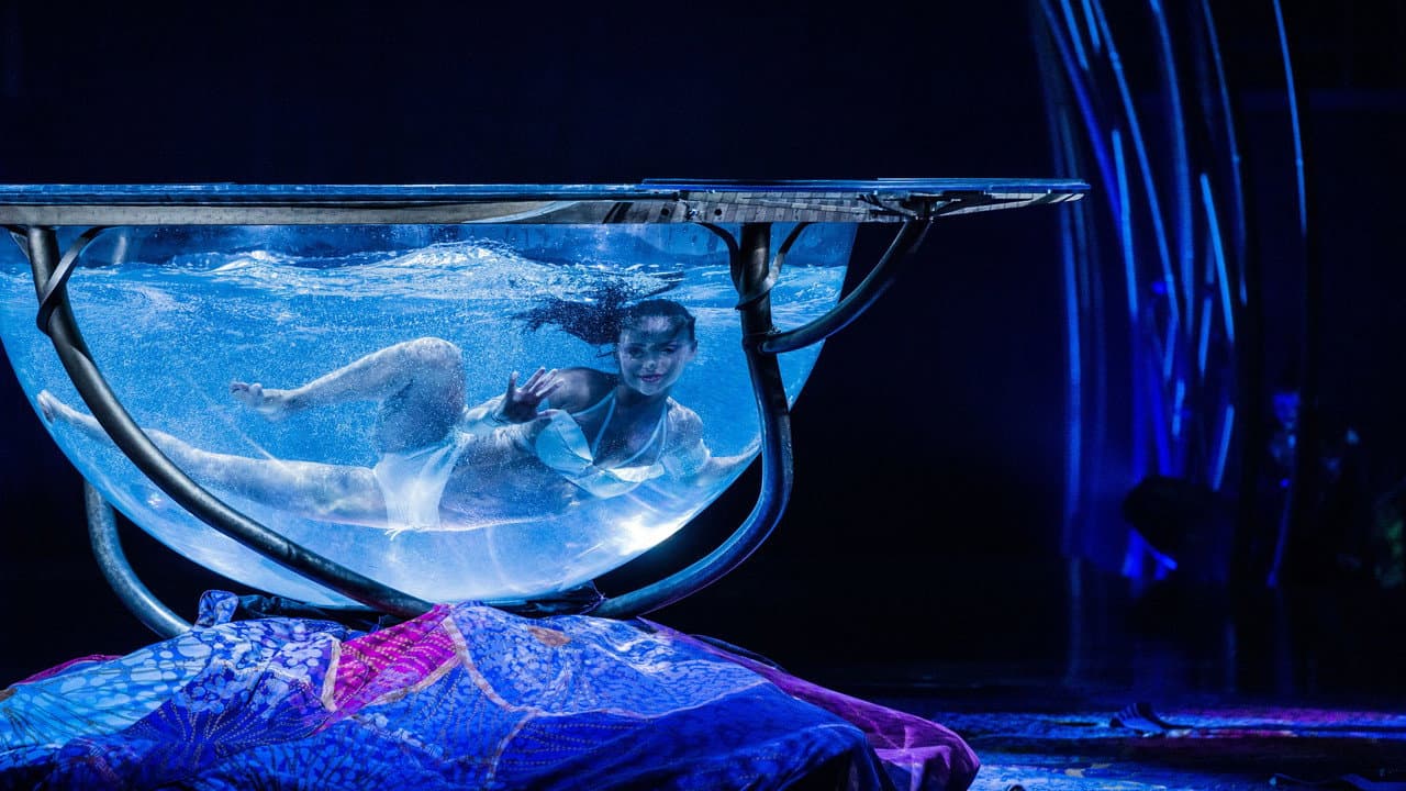 Backdrop – Cirque du Soleil: Amaluna