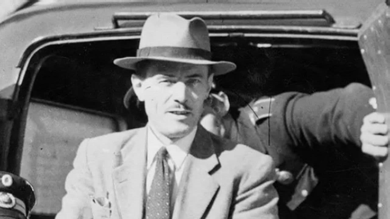 Backdrop – Flugtkongen