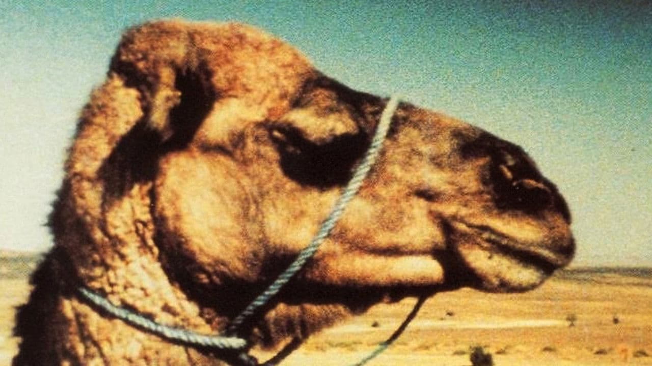 Backdrop – Lettre d'un cinéaste à sa fille