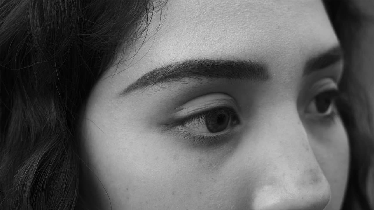 Backdrop – ¡Santo Norte!