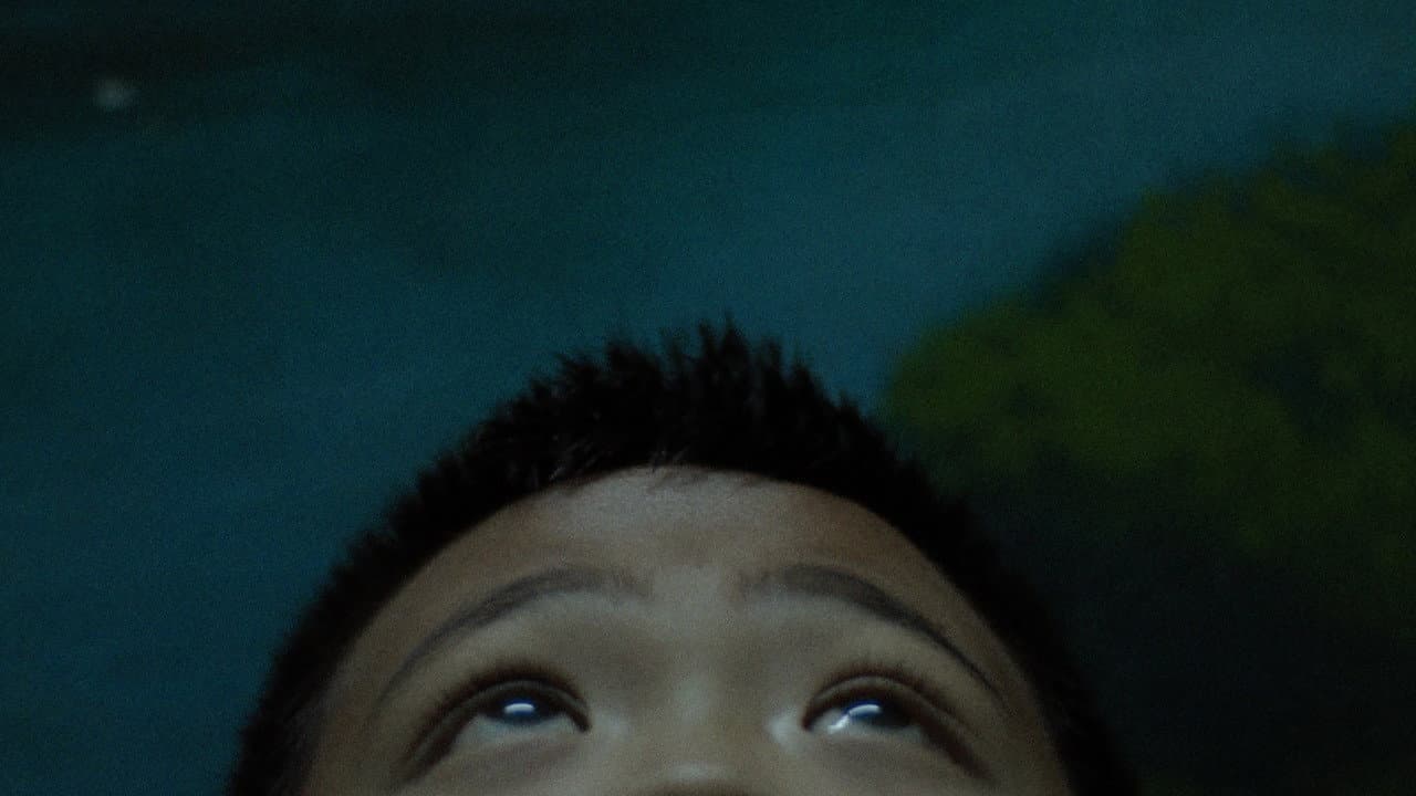 Backdrop – Hiwa