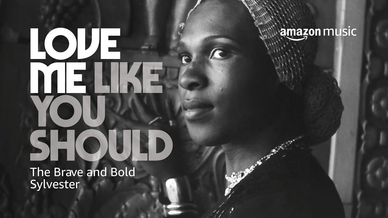 Backdrop – Love Me Like You Should: The Brave and Bold Sylvester