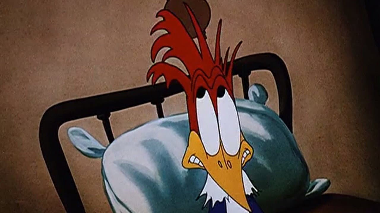Backdrop – The Coo Coo Bird