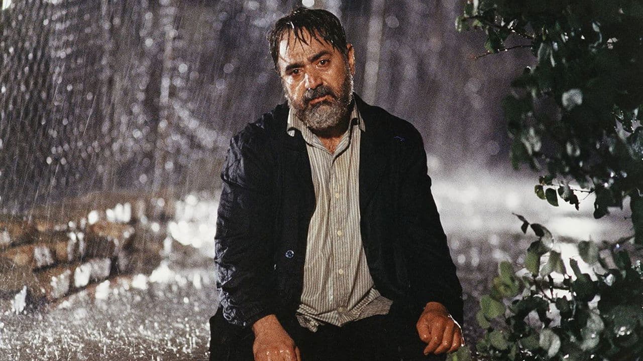 Backdrop – بید مجنون