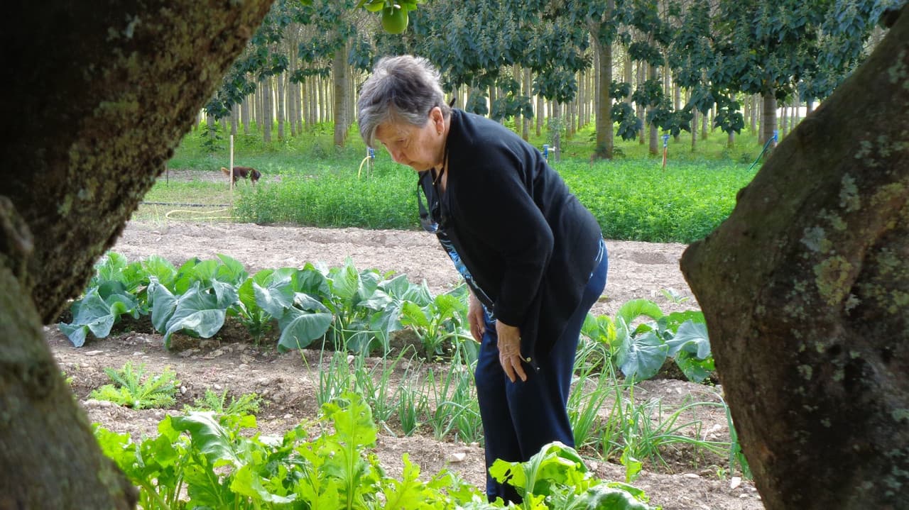 Backdrop – De tros en tros