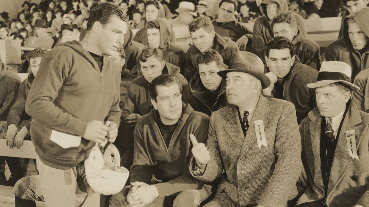 Backdrop – Hold 'Em Yale