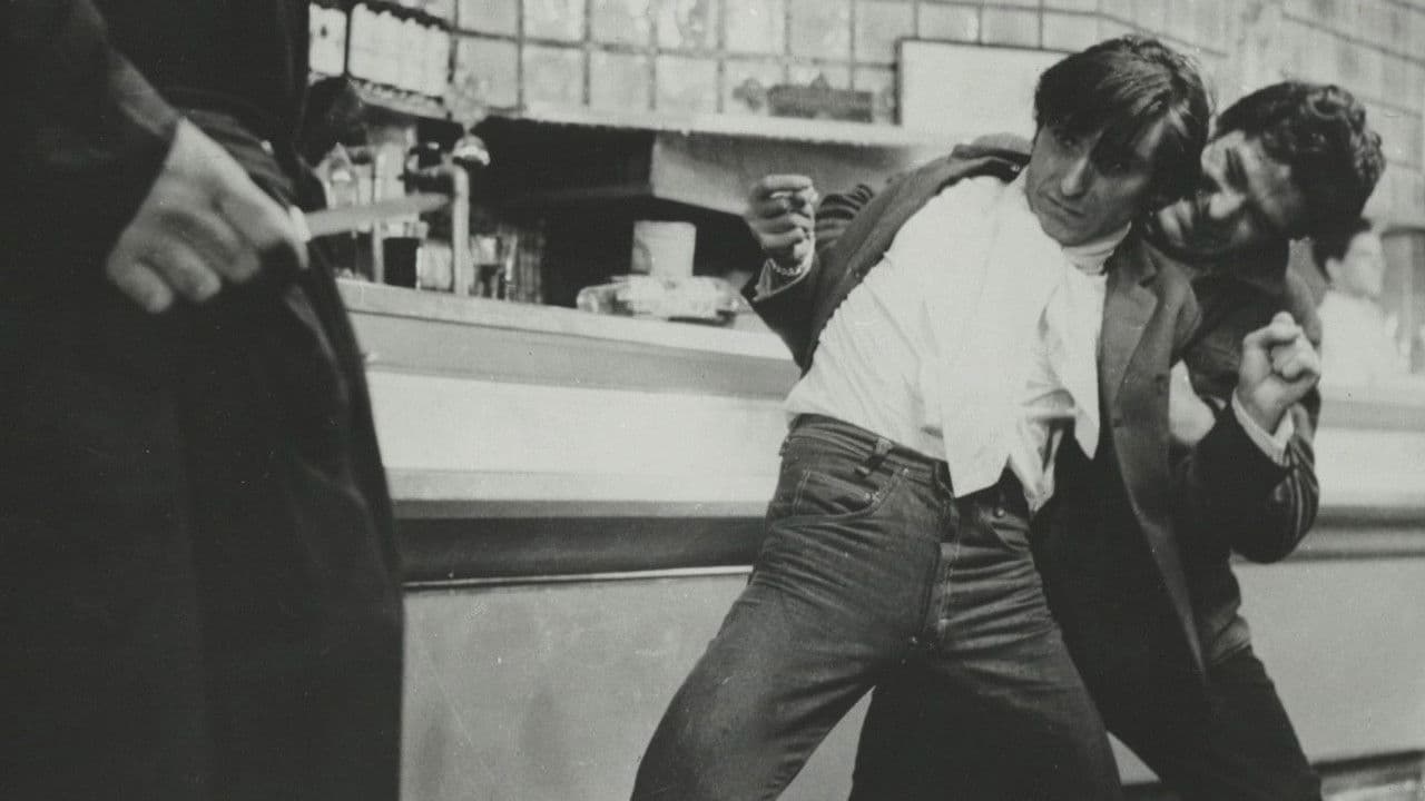 Backdrop – Los Tarantos