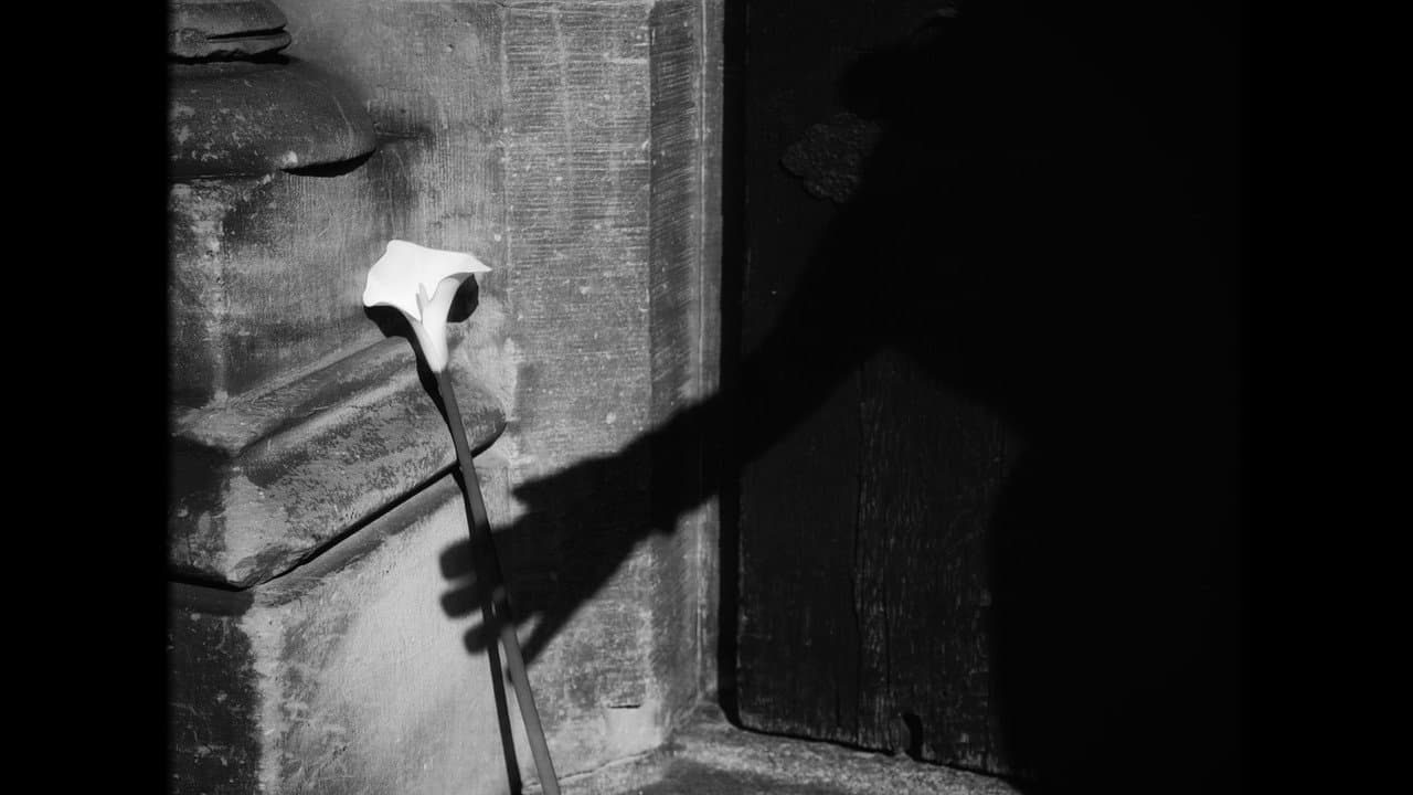 Backdrop – Die Engel der Dreifaltigkeit