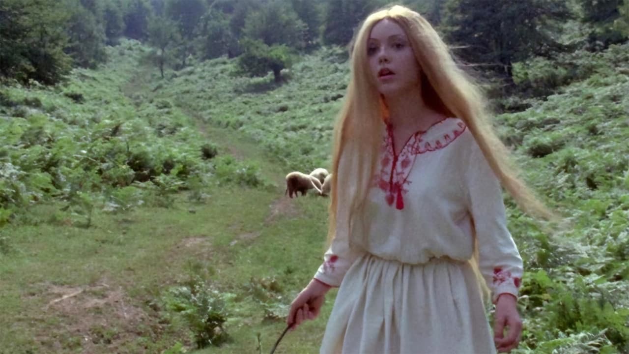 Backdrop – Leptirica