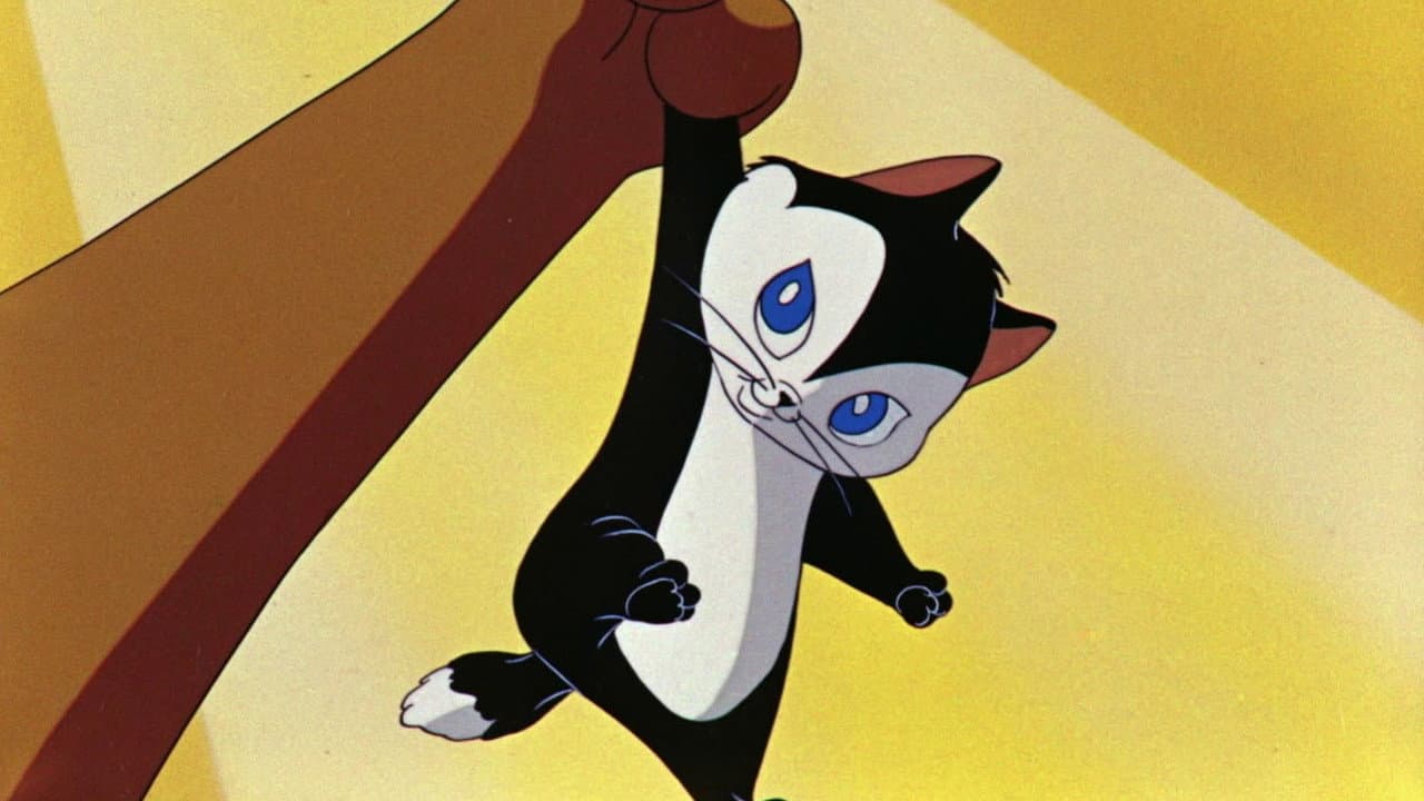 Backdrop – Kiss Me Cat