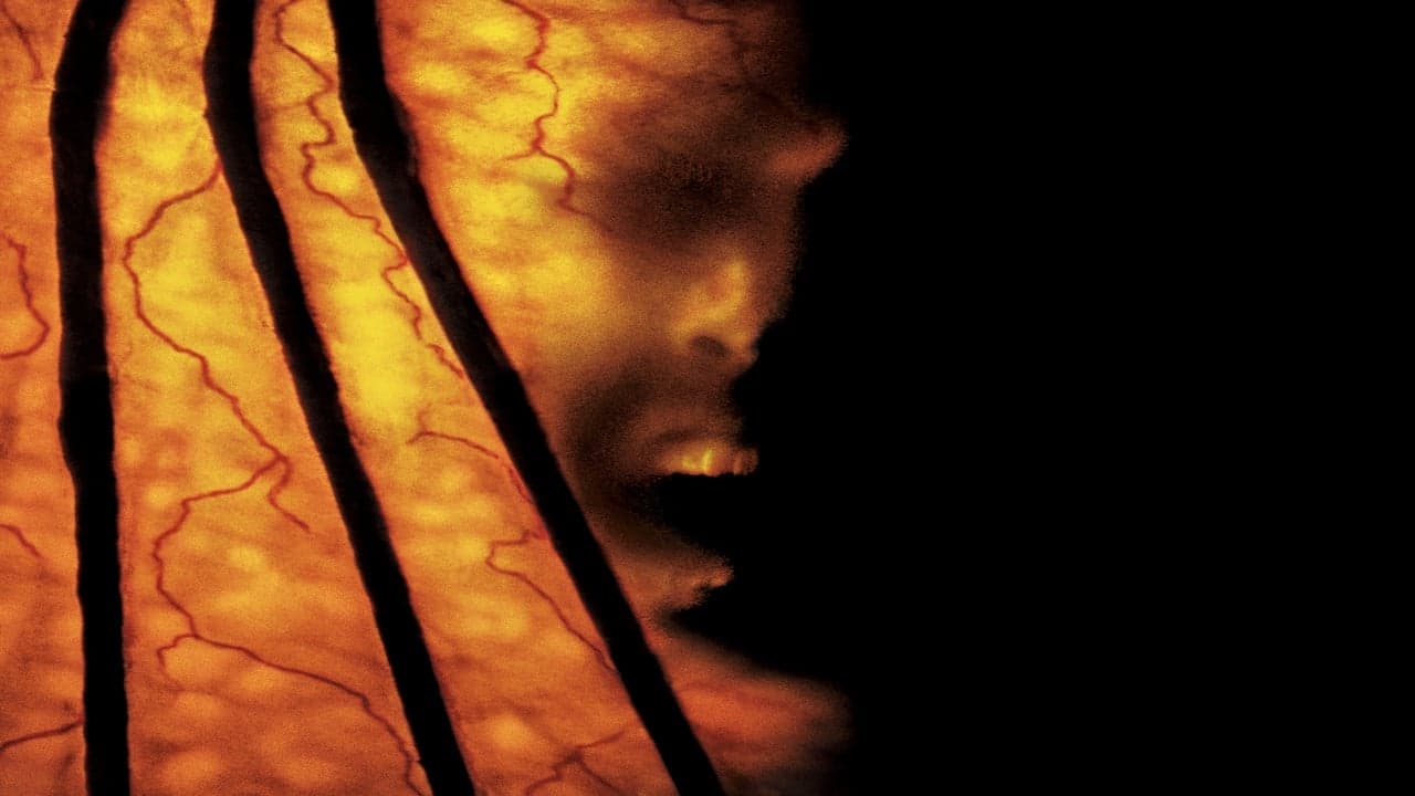 Backdrop – Jeepers Creepers 2