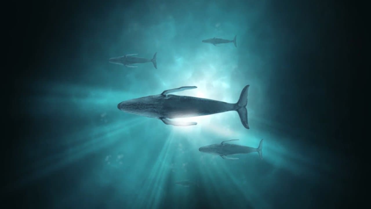 Backdrop – Sonic Sea