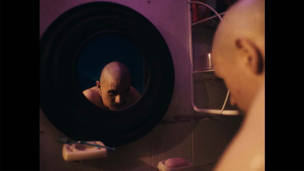 Backdrop – Dinamita