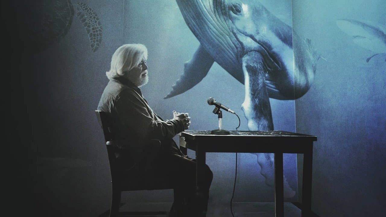 Backdrop – Kapitän Watson – Im Einsatz für die Ozeane