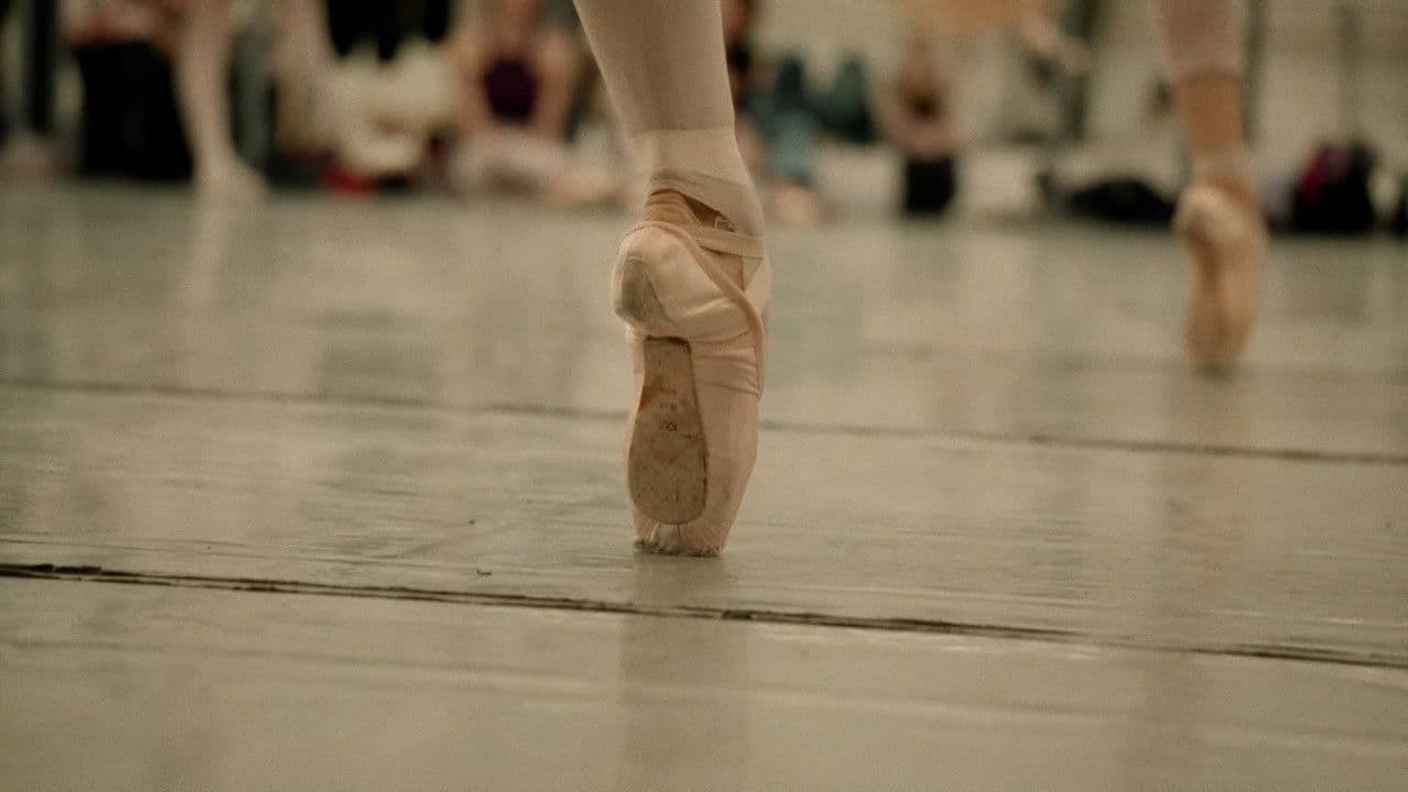 Backdrop – In Bocca al Lupo