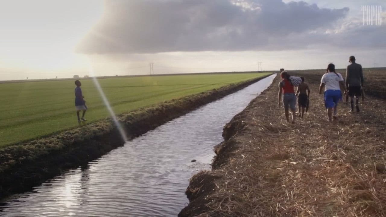 Backdrop – The Rabbit Hunt