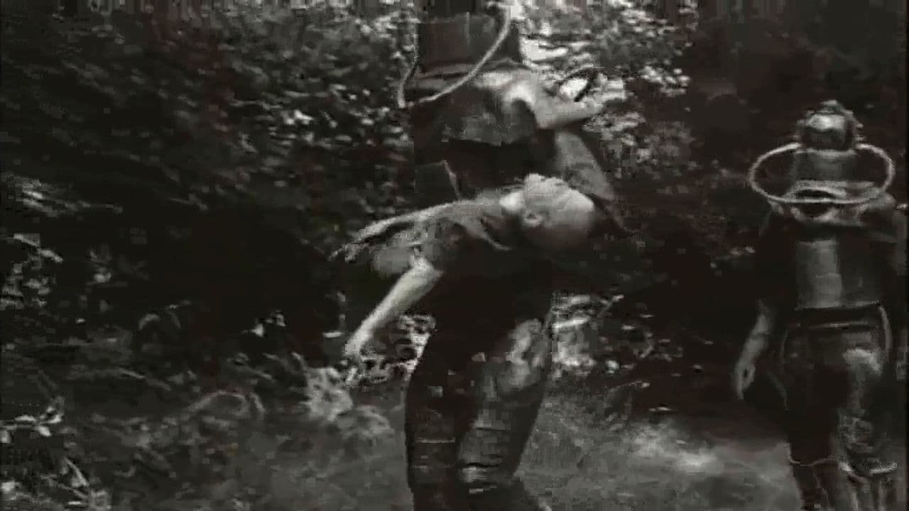 Backdrop – Kinky Hoodoo Voodoo