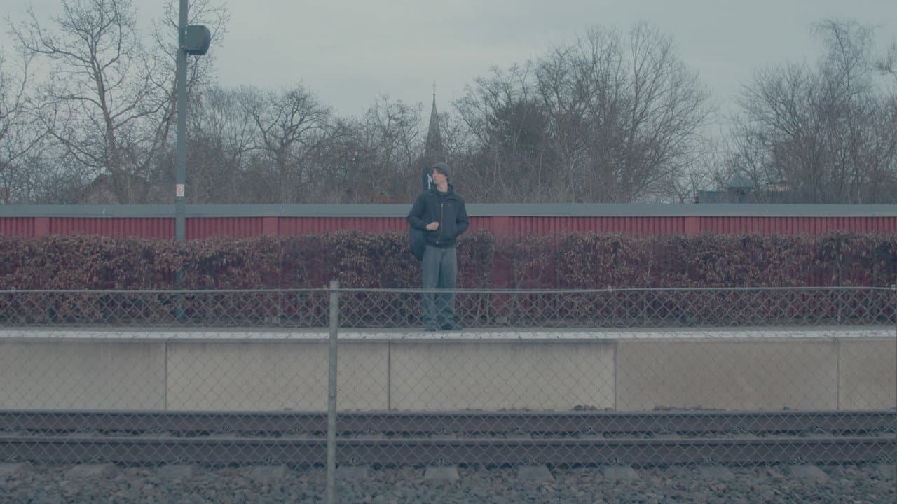 Backdrop – Double