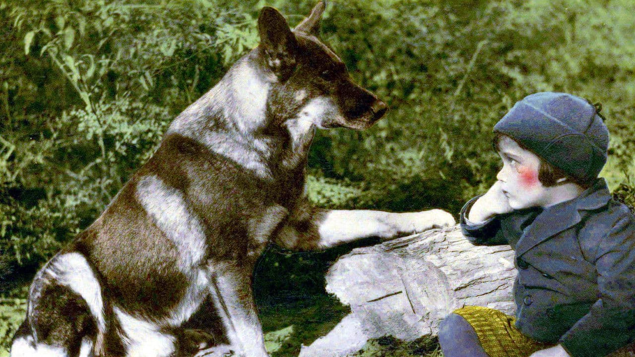 Backdrop – Frozen River