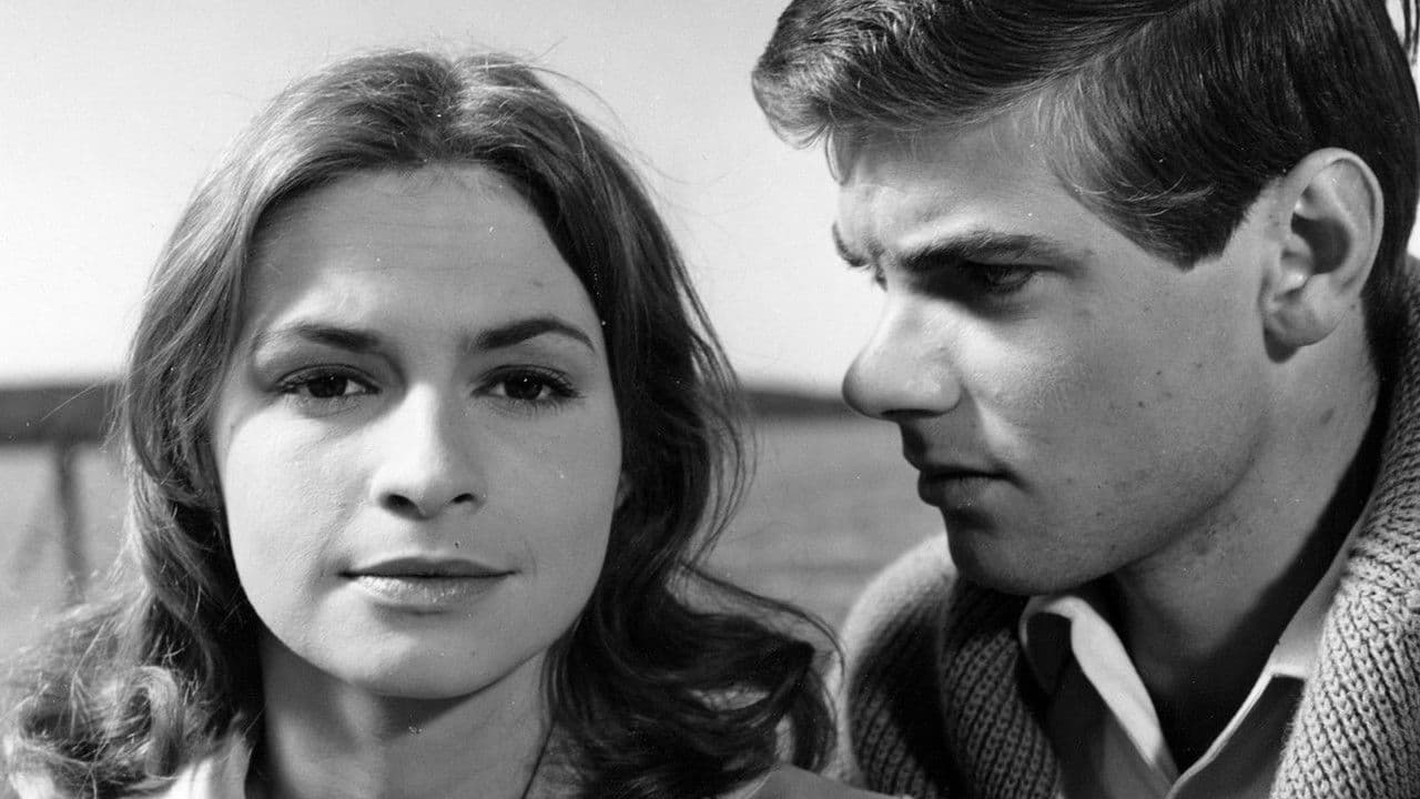 Backdrop – Goda vänner, trogna grannar