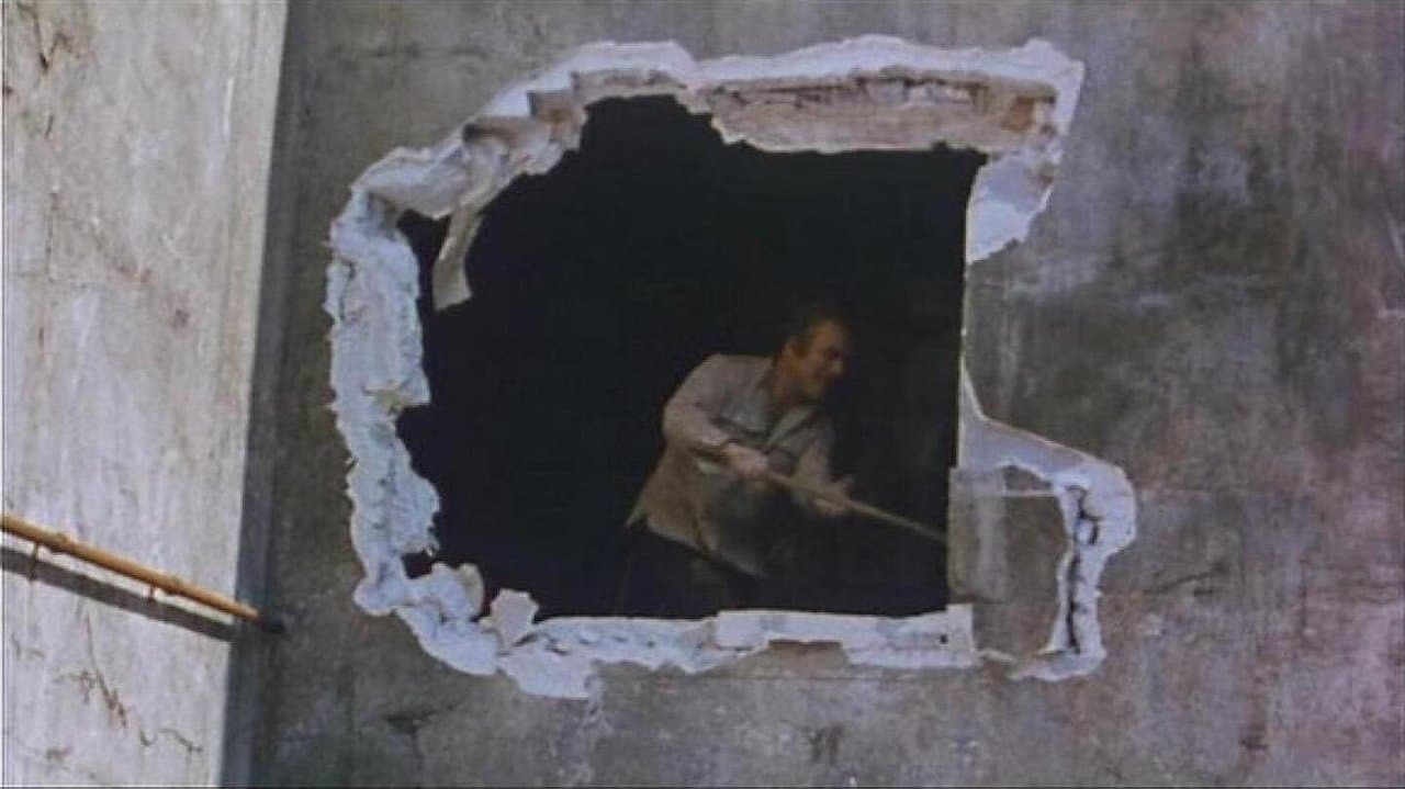 Backdrop – Themroc