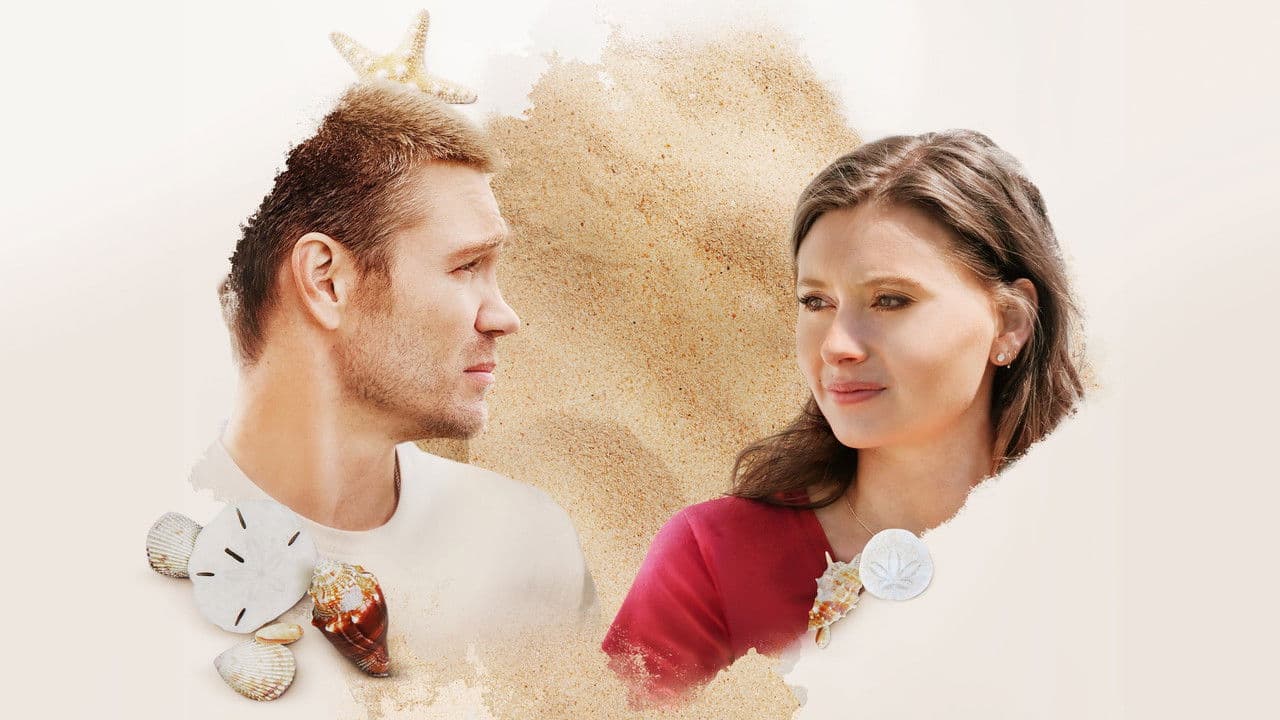 Backdrop – Sand Dollar Cove