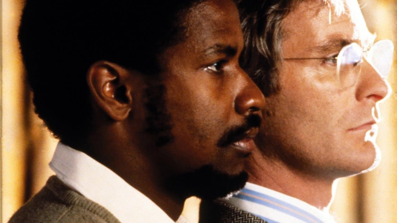 Backdrop – Schrei nach Freiheit