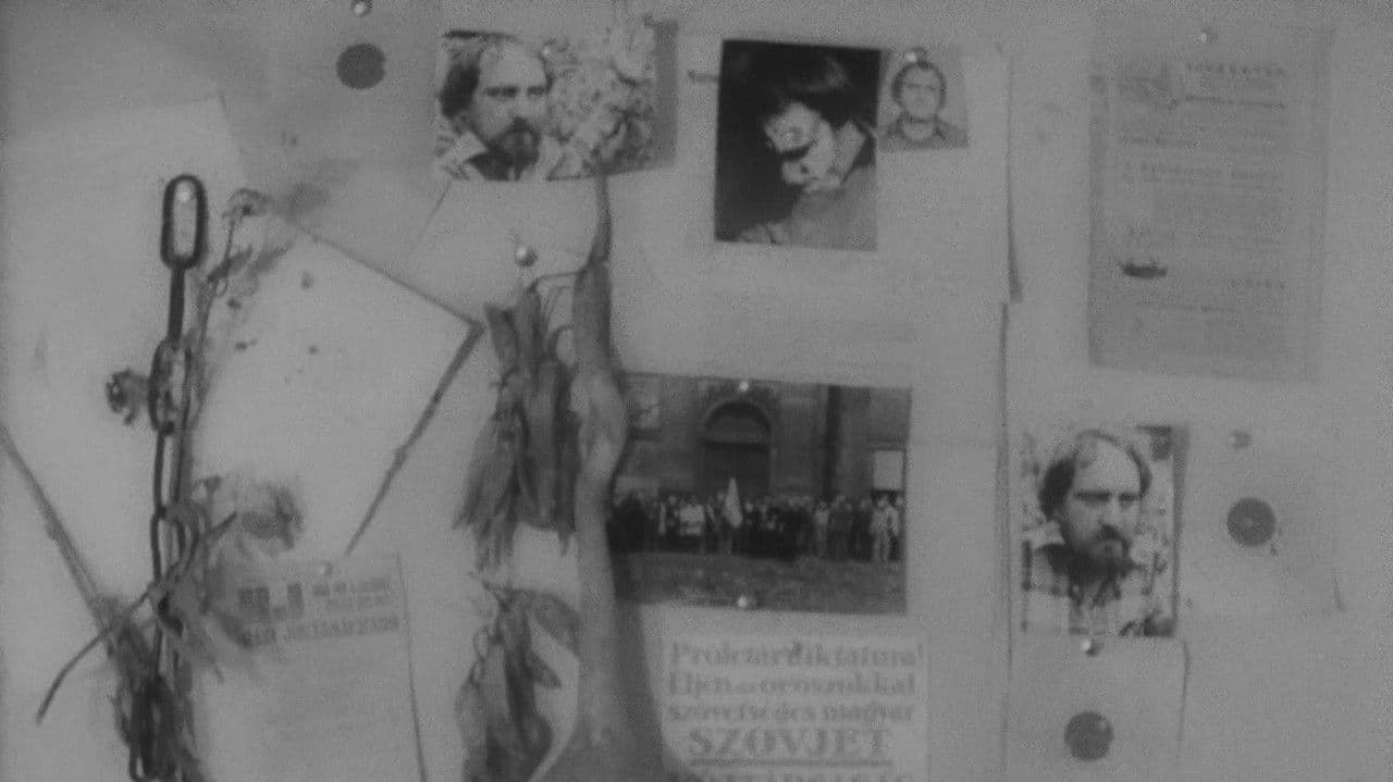 Backdrop – In memoriam Hajnóczy Péter