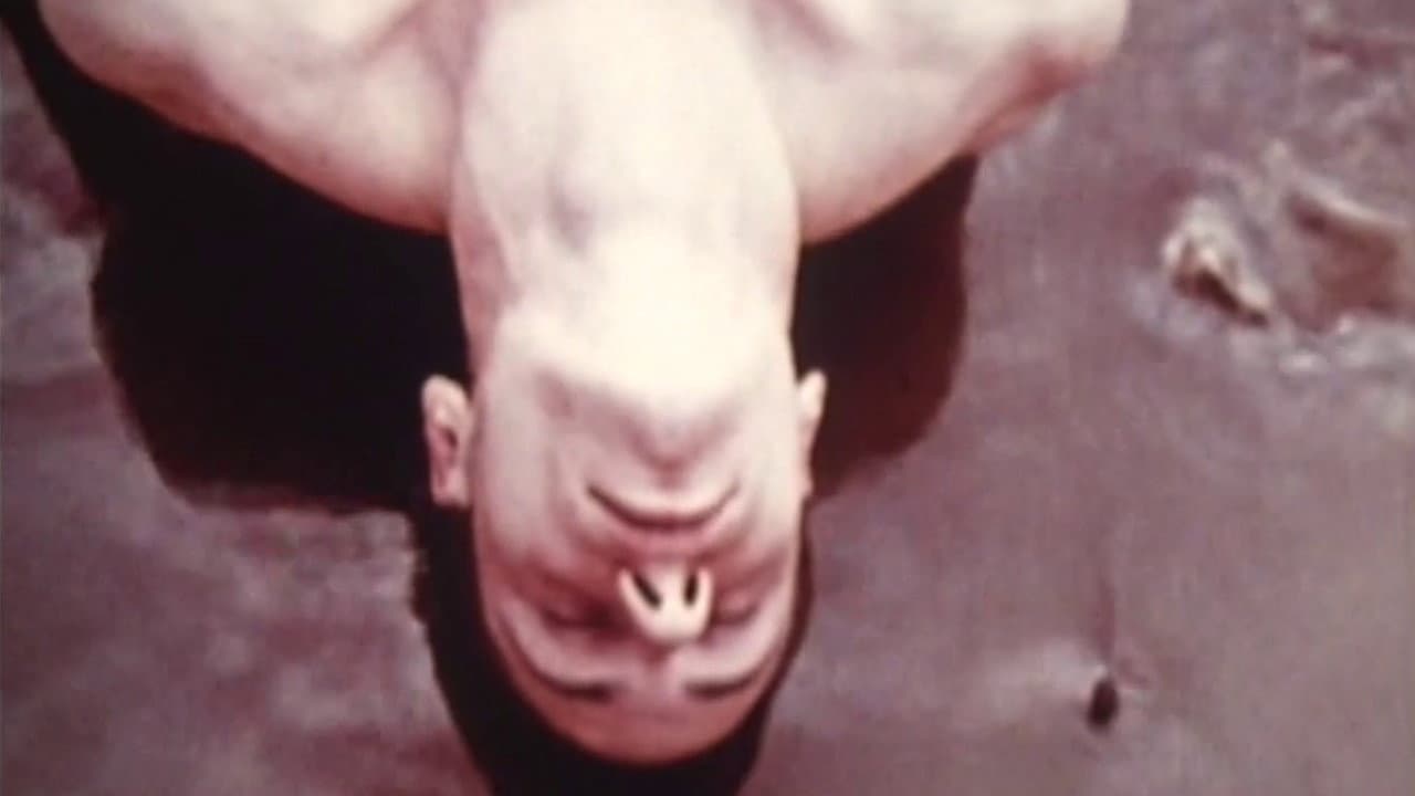 Backdrop – Lysis