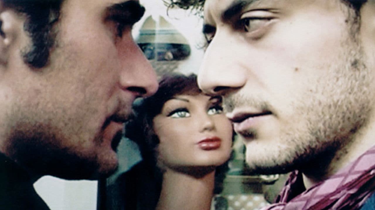 Backdrop – RosaTigre