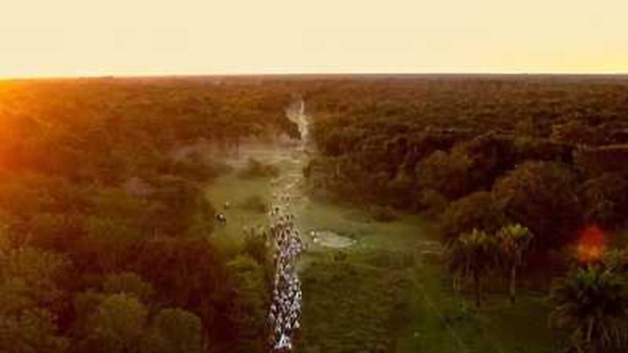 Backdrop – Pantanal: A Boa Inocência de Nossas Origens