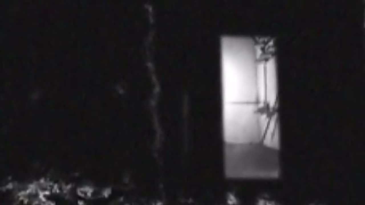 Backdrop – Bug Crawls